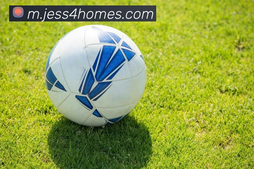 奖项证书